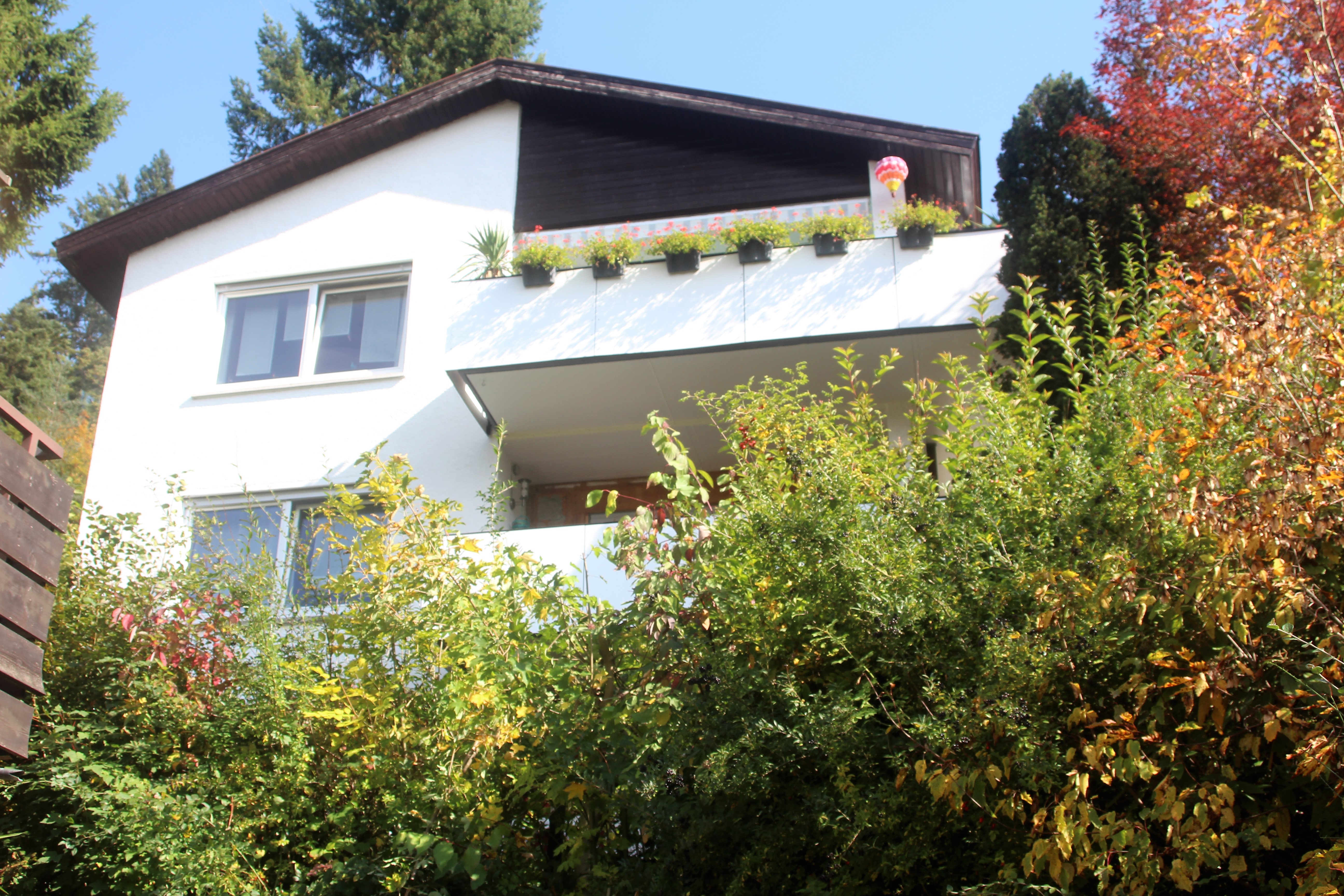 Wolkennest Frontansicht
